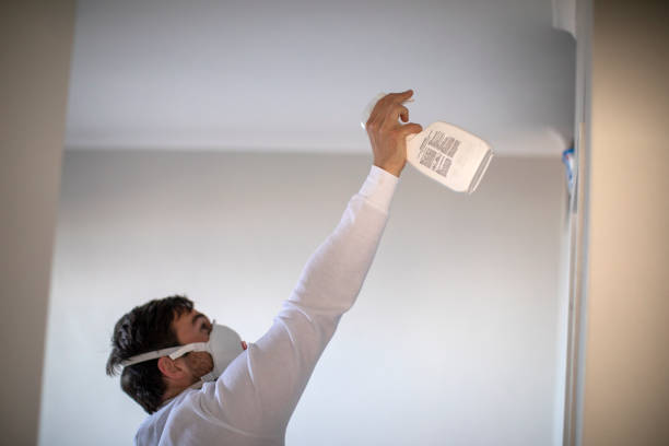 Best Commercial Mold Removal  in Mira Monte, CA